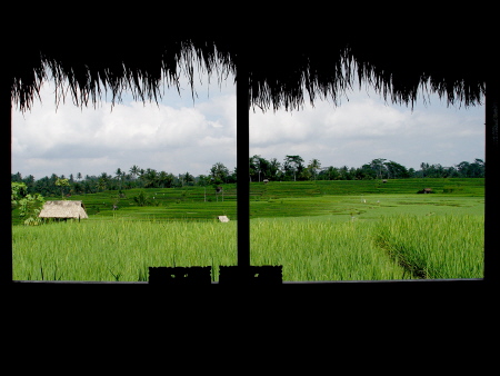 finestra su Ubud